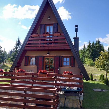 Mountain House Tadic 1 Villa Bajina Basta Bagian luar foto
