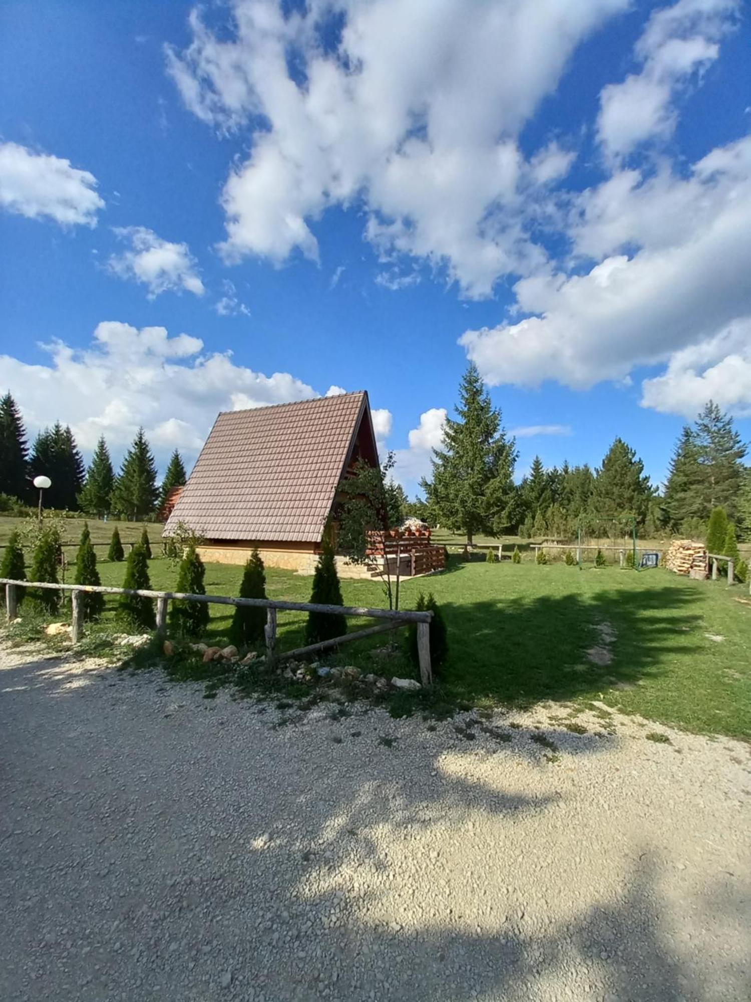 Mountain House Tadic 1 Villa Bajina Basta Bagian luar foto