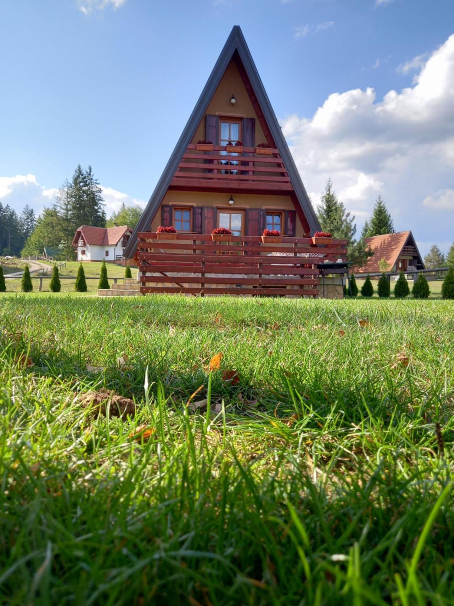 Mountain House Tadic 1 Villa Bajina Basta Bagian luar foto