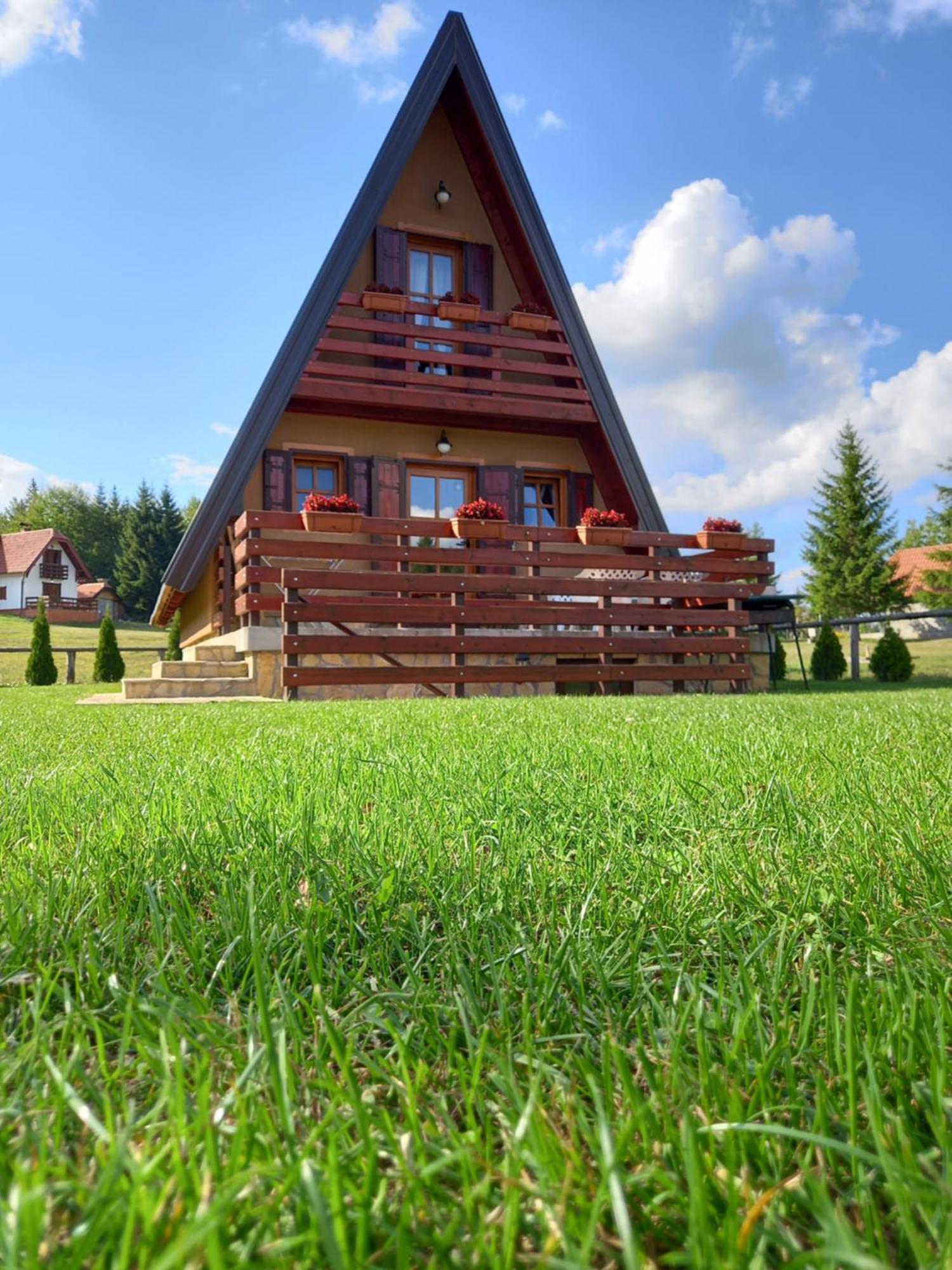 Mountain House Tadic 1 Villa Bajina Basta Bagian luar foto