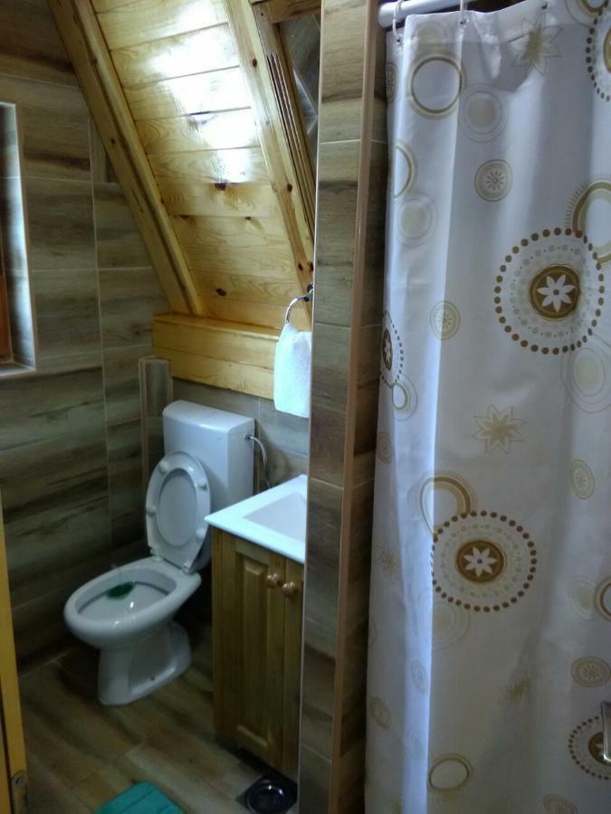 Mountain House Tadic 1 Villa Bajina Basta Bagian luar foto