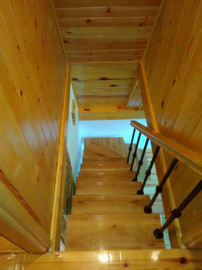 Mountain House Tadic 1 Villa Bajina Basta Bagian luar foto