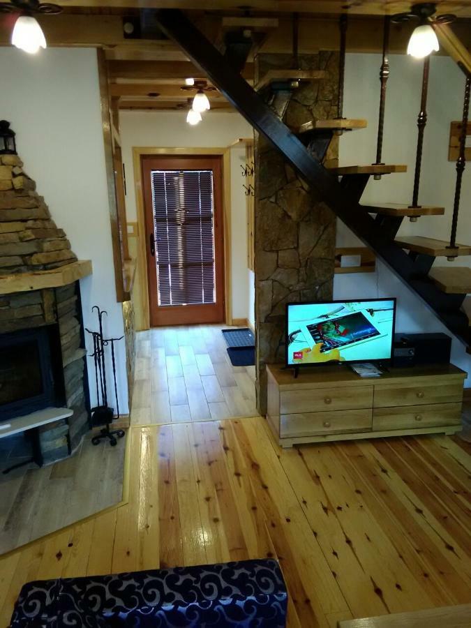Mountain House Tadic 1 Villa Bajina Basta Bagian luar foto