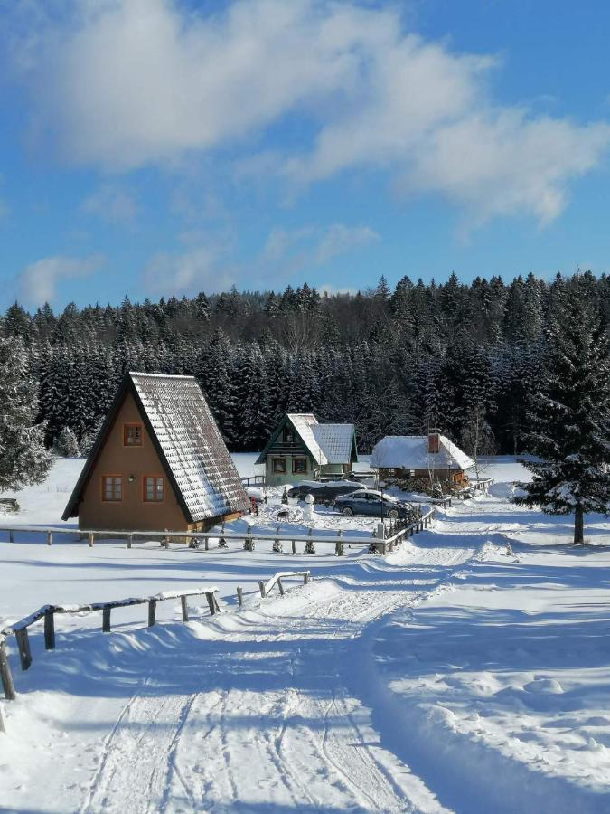 Mountain House Tadic 1 Villa Bajina Basta Bagian luar foto