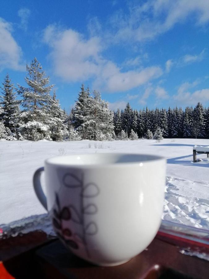 Mountain House Tadic 1 Villa Bajina Basta Bagian luar foto