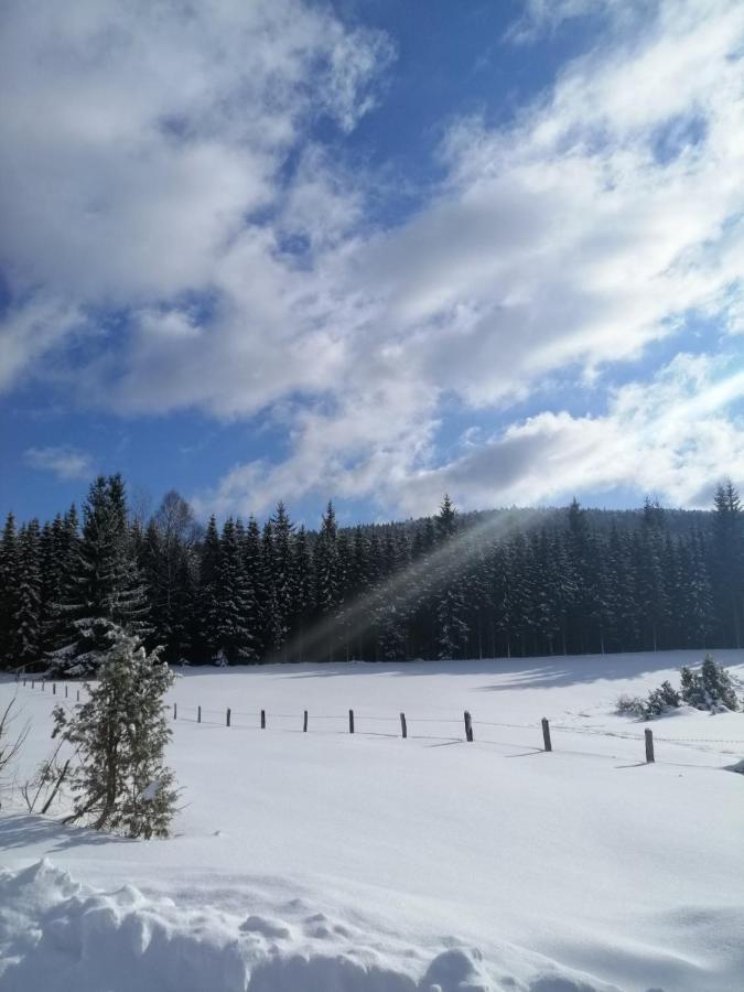 Mountain House Tadic 1 Villa Bajina Basta Bagian luar foto