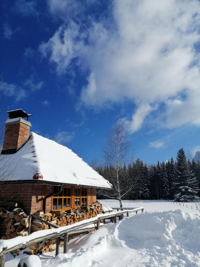 Mountain House Tadic 1 Villa Bajina Basta Bagian luar foto