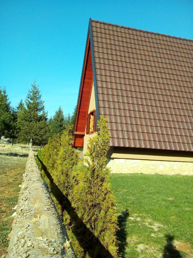 Mountain House Tadic 1 Villa Bajina Basta Bagian luar foto
